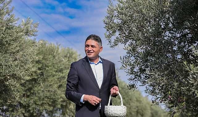 Aliağa’da Zeytinin Bereketi 4.Zeytin Hasat Şenliği’nde Kutlandı 1 aliagada zeytinin bereketi 4 zeytin hasat senliginde kutlandi