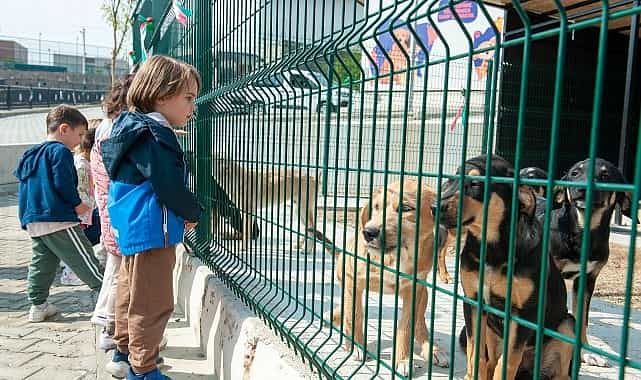 Bakioğlu Can Dostlarımız Yaşam Merkezi öğrencileri ağırlıyor 1 bakioglu can dostlarimiz yasam merkezi ogrencileri agirliyor