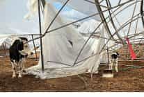 buyuksehir yagis ve firtinadan zarar goren ureticinin yaninda