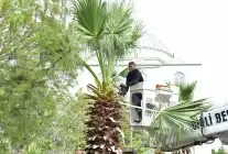 İzmir Çiğli Sonbahara Hazırlanıyor