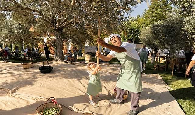 Ela Excellence Resort Belek Olive Fest ile doğanın kalbinde eşsiz bir deneyim sundu! 1 ela excellence resort belek olive fest ile doganin kalbinde essiz bir deneyim sundu
