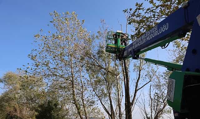 Kartepe’de Yeşil Alanlara Bakım 1 kartepede yesil alanlara bakim