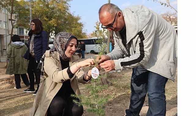 11 Kasım Ağaçlandırma Günü'nde Fidan Dağıtımı ve Fidan Dikimi 1 11 kasim agaclandirma gununde fidan dagitimi ve fidan dikimi