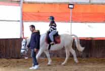 ara tatili at ustunde gecirdiler