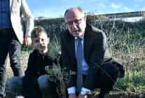 belediye baskani nergiz karaagacli ozturkten fidan dikimine destek