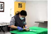 bu merkez yaban hayvanlarina umut oluyor