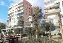 bucada budama seferberligi