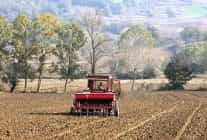 buyuksehirin hibeli tohumlari toprakla bulustu