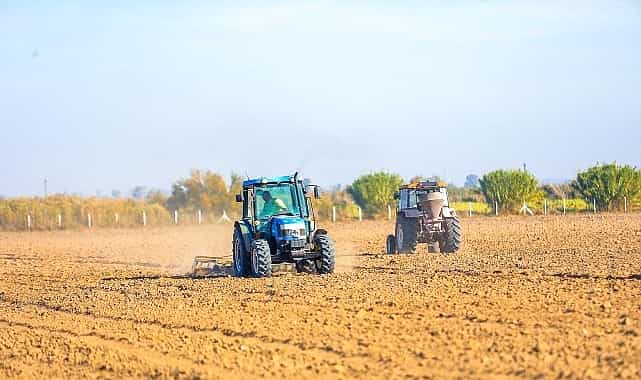 didimde topragin bereketi halkla bulusuyor