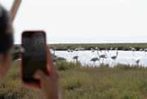 doga ve lezzet tutkunlari bu turlari cok sevecek