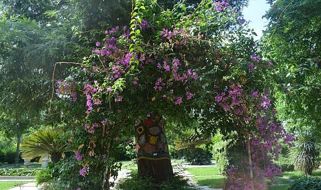 ege universitesinin endemik tur cenneti botanik bahcesi