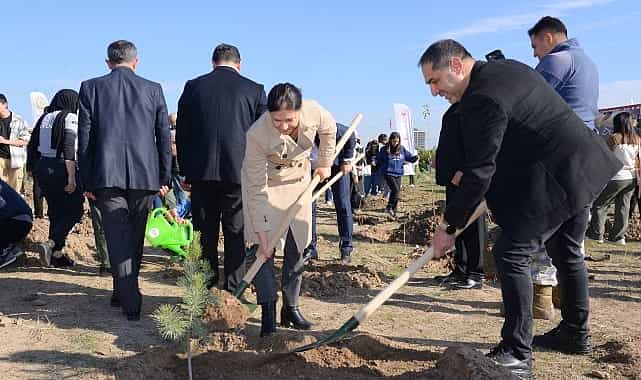 fidanlar toprakla bulustu