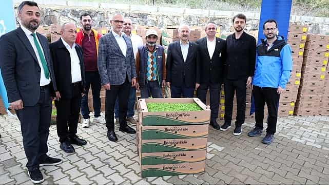 Gebzeli çiftçiye 500 bin sebze fidesi 1 gebzeli ciftciye 500 bin sebze fidesi