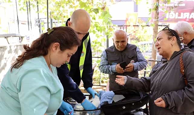 Hayvanlara yerinde tedavi 1 hayvanlara yerinde tedavi