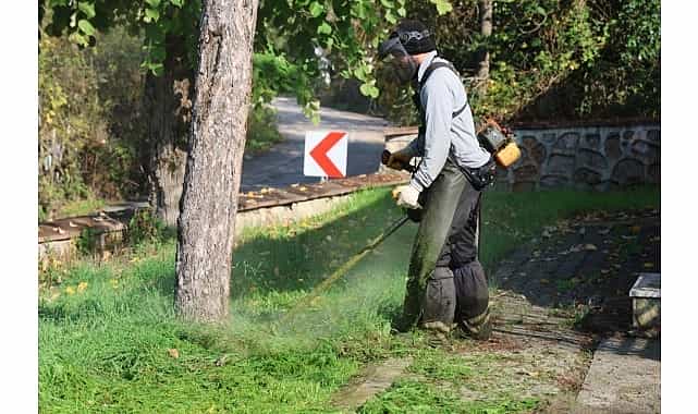 kartepe belediyesi park ve bahceler mudurlugunden yogun calisma