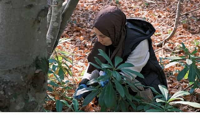 Kuzuyayla'da mantarların gizemli dünyası keşfedildi 1 kuzuyaylada mantarlarin gizemli dunyasi kesfedildi