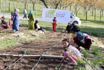 mahalle bostanlarinda kis dikimleri basladi