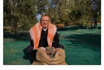 mesut ergin dunya zeytin agaci gunu kutlu olsun