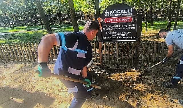 ormanyada oyun gruplarina periyodik bakim