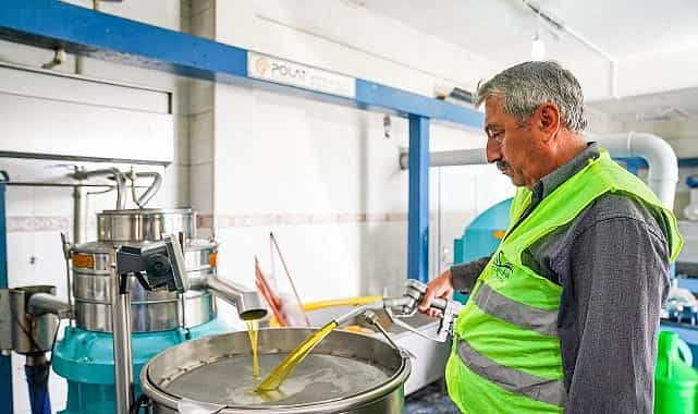 Seferihisar Belediyesi’nden örnek proje; Çocukların topladığı zeytinler sofralara bereket olacak 1 seferihisar belediyesinden ornek proje cocuklarin topladigi zeytinler sofralara bereket olacak