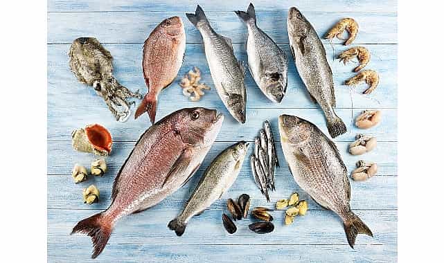 Su ürünleri ve hayvansal mamuller ihracatının yüzde 47’si Ege Bölgesi’nden yapıldı 1 su urunleri ve hayvansal mamuller ihracatinin yuzde 47si ege bolgesinden yapildi