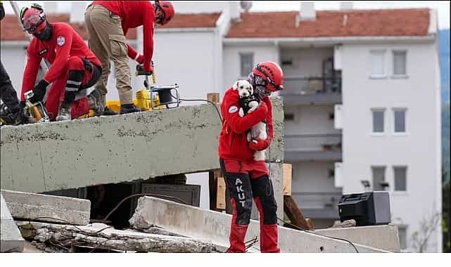 torbalida hayvan arama kurtarma egitimi