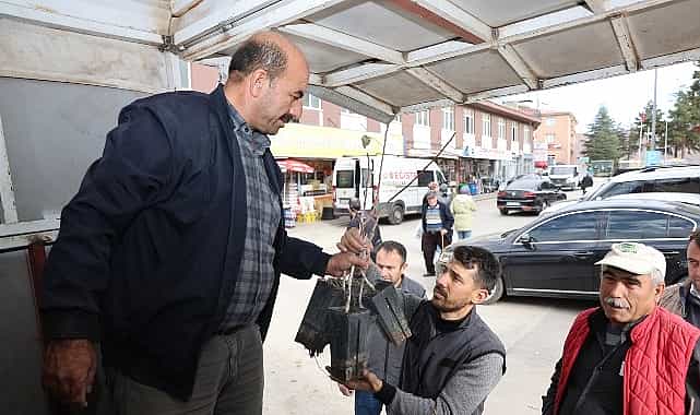 Başkan Altay: “Mikro Klima Etkisine Sahip Bölgelerimizde Kuraklığa Dayanıklı Yapısıyla Antep Fıstığını Yaygınlaştırıyoruz” 1 baskan altay mikro klima etkisine sahip bolgelerimizde kurakliga dayanikli yapisiyla antep fistigini yayginlastiriyoruz