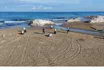 buyuksehirle temiz kiyilar guclu yarinlar