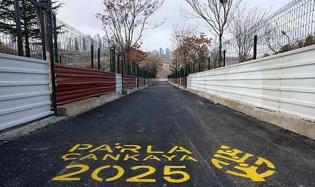 cankaya belediyesi barinak kapasitesini 1 500e cikardi