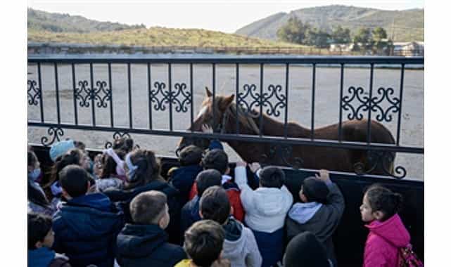Çocuklara hayvan sevgisi kazandırılıyor 1 cocuklara hayvan sevgisi kazandiriliyor