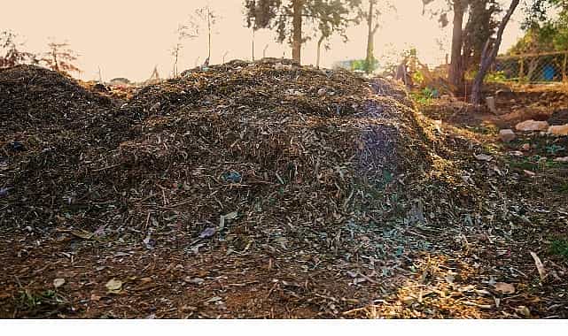didim belediyesinden ornek proje pazar atiklari komposta donusuyor