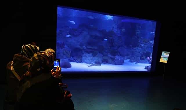 Engelliler, su altı dalışı yaparak yeteneklerini sergiledi 1 engelliler su alti dalisi yaparak yeteneklerini sergiledi