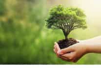 fuzulden 2025 calisani adina canakkale ve sanliurfaya 2025 fidan bagisi