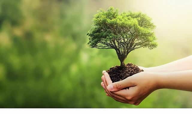 Fuzul’den 2025 çalışanı adına Çanakkale ve Şanlıurfa’ya 2025 fidan bağışı 1 fuzulden 2025 calisani adina canakkale ve sanliurfaya 2025 fidan bagisi