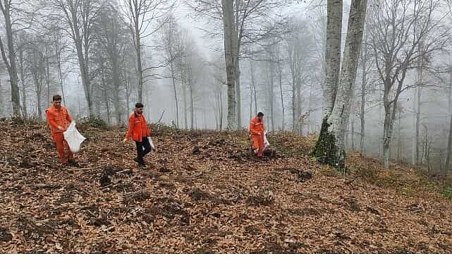 Harmancık’ta yanan ormanlara tohumlar serpiliyor 1 harmancikta yanan ormanlara tohumlar serpiliyor