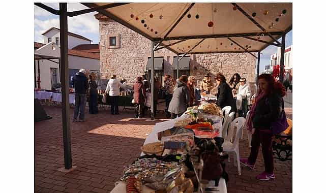Her Şey Ayvalık Fidanları İçin 1 her sey ayvalik fidanlari icin