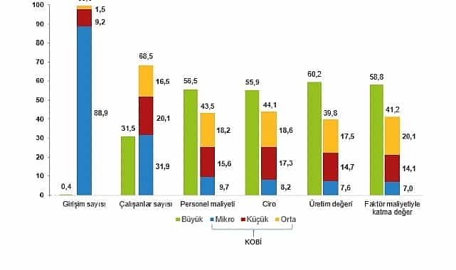 kucuk ve orta buyuklukteki girisim istatistikleri 2024
