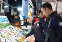 maltepede balik denetimi