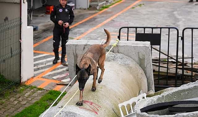 maltepenin zeynasi artik ekibin bir parcasi