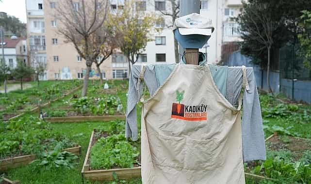 Moda Bostan Alanının Yer Aldığı İhale İptal Edildi 1 moda bostan alaninin yer aldigi ihale iptal edildi