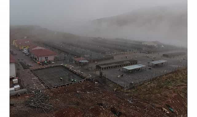 Sokak Hayvanları İçin Modern, Sağlıklı ve Doğal Yaşam Projesi Başladı 1 sokak hayvanlari icin modern saglikli ve dogal yasam projesi basladi