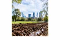 tema vakfi saglikli kentler icin saglikli topraklara ihtiyacimiz var