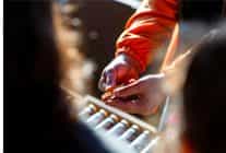 tohumdan topraga topraktan sofraya