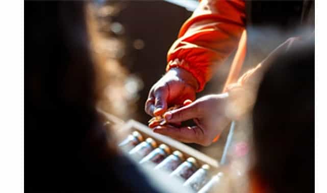 Tohumdan toprağa, topraktan sofraya 1 tohumdan topraga topraktan sofraya