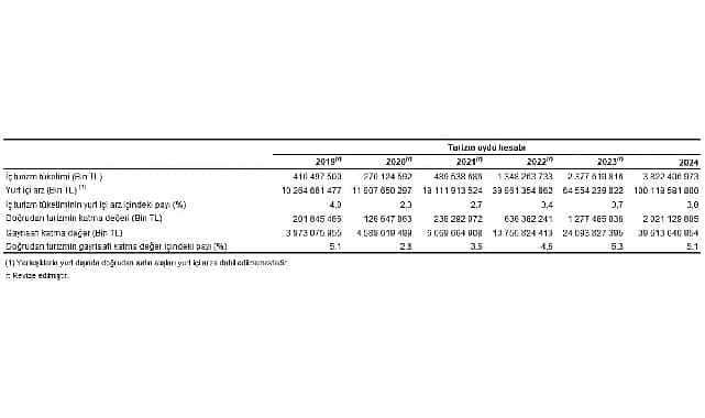 turizm uydu hesabi 2024
