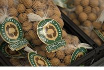 a101 yerli cevizi ureticisinden tuketiciye tasiyor