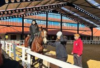 aliaparkta engel tanimayan ozel bir gun