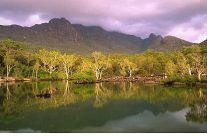 avustralyanin vahsi ormanlari 10 ocak cumartesi 20 00de national geographic wild ekranlarinda