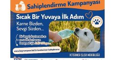 bayrampasada can dostlar yuvalarini bekliyor