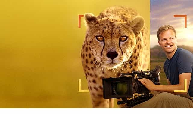 ‘Bertie Gregory Çitalarla Yüz Yüze’, 3 Ocak Cumartesi 20.00’de National Geographic WILD Ekranlarında! 1 bertie gregory citalarla yuz yuze 3 ocak cumartesi 20 00de national geographic wild ekranlarinda